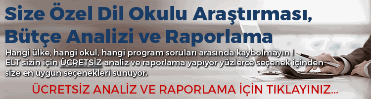 İŞ ADAMLARI İÇİN YAZ KURSLARI, ULUSLARARASI TİCARET