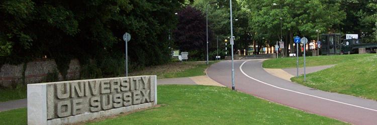 Sussex Üniversitesi