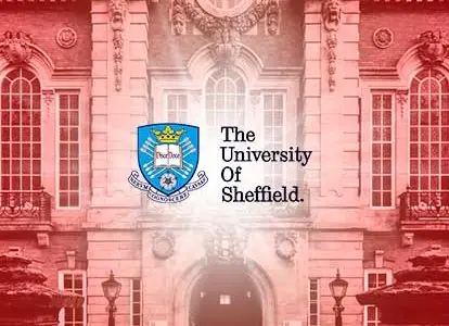 University of Sheffield