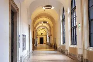 Viyana Teknik Üniversitesi
