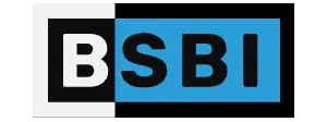 Berlin School of Business and Innovation – BSBI