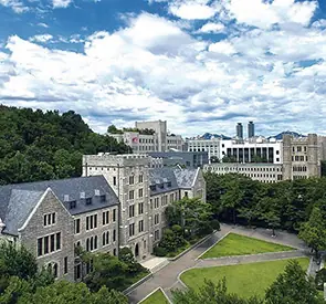 Korea University