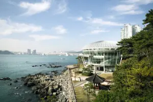 Busan Şehir Rehberi ve Öğrenci Yaşamı