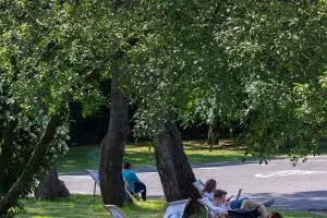 Kozminski Üniversitesi