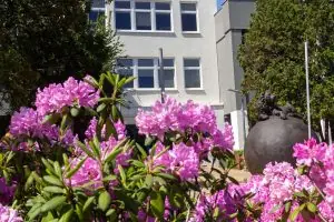 Kozminski Üniversitesi