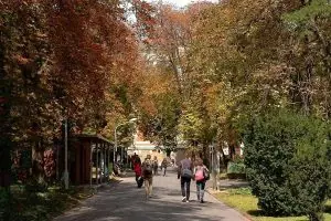 Onuralp A. – Budapeşte Teknik Üniversitesi