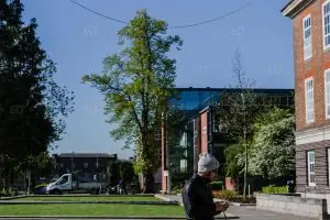 Middlesex Üniversitesi