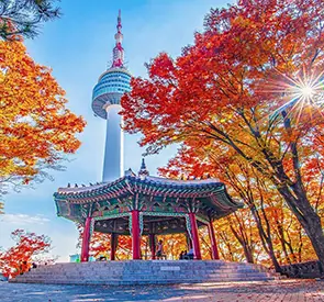 Seul Nasıl Bir Şehir? Tarihi, Kültürü ve Genel Yaşam Dinamikleri