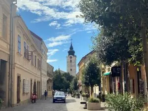 M.Zübeyr Yaşar – Pecs Üniversitesi