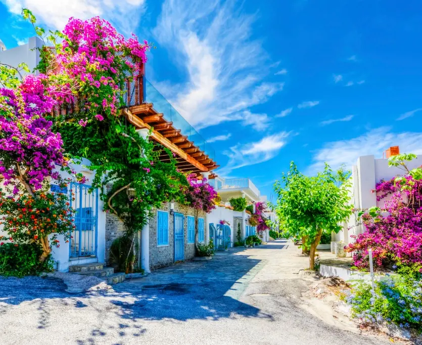 BODRUM