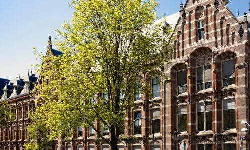 Yağız Yasin – Amsterdam Üniversitesi