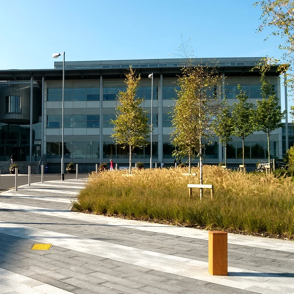 Dublin City University Dil Okulu