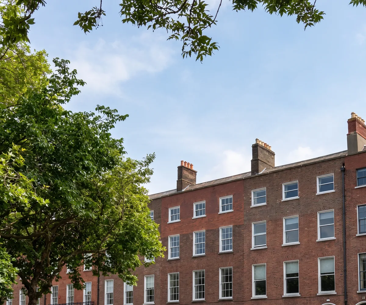 Frances King Dublin