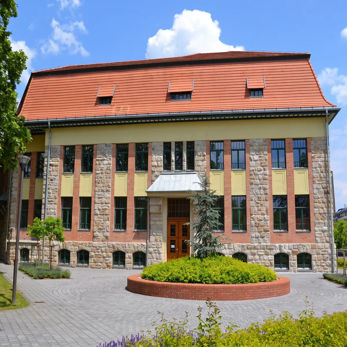 IBS International Business School