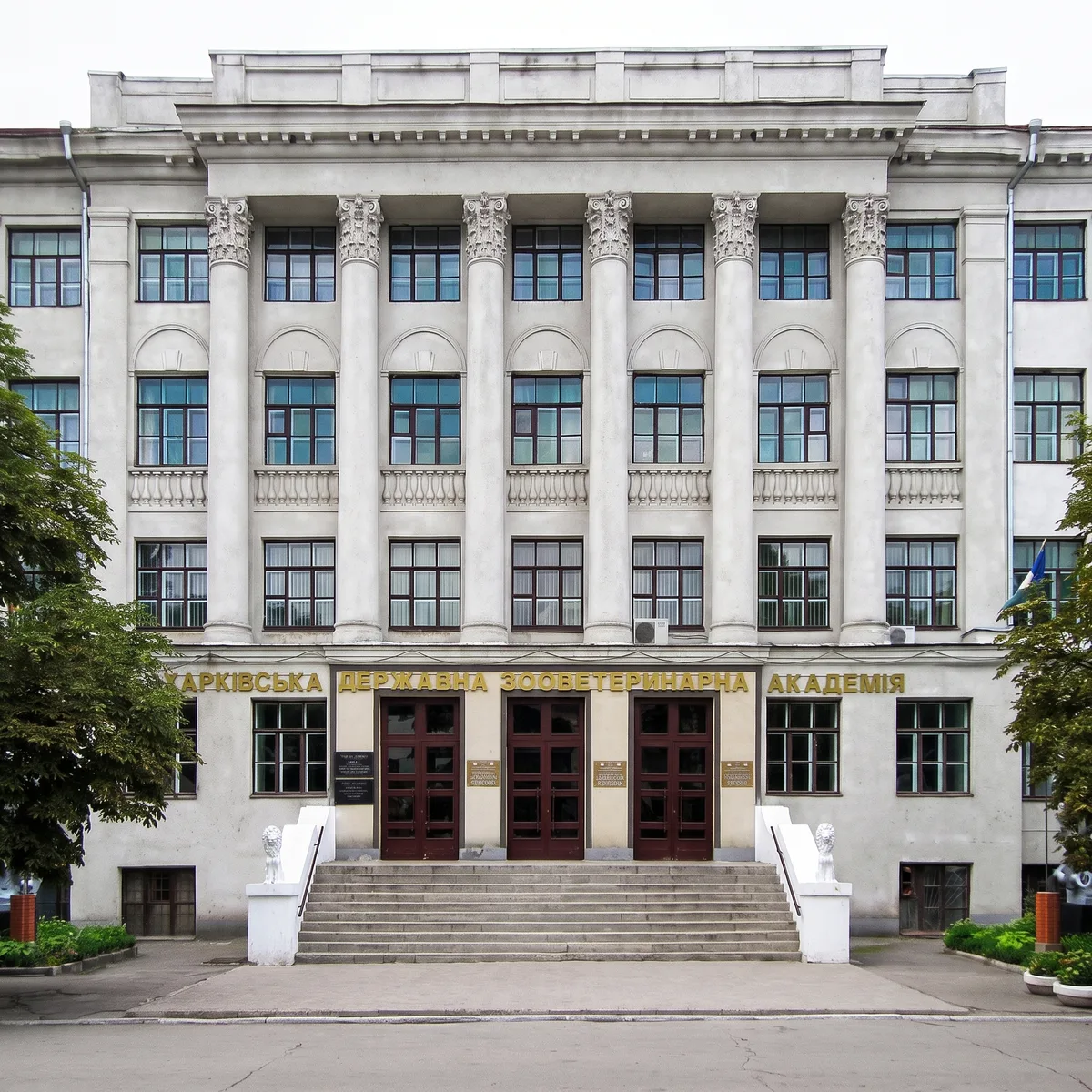 Kharkiv Devlet Biyoteknoloji Üniversitesi Ukraynaca Hazırlık Eğitimi