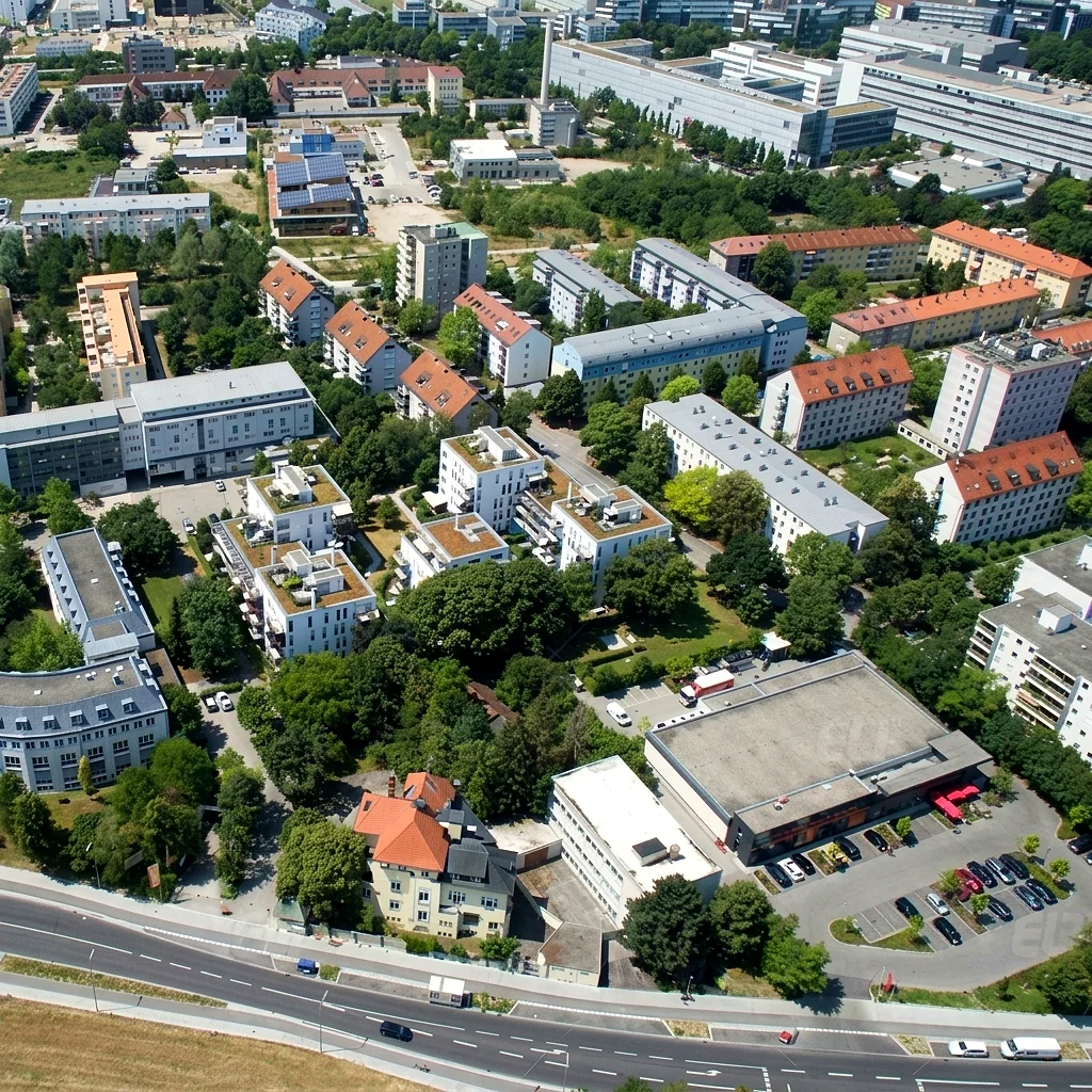 New European College