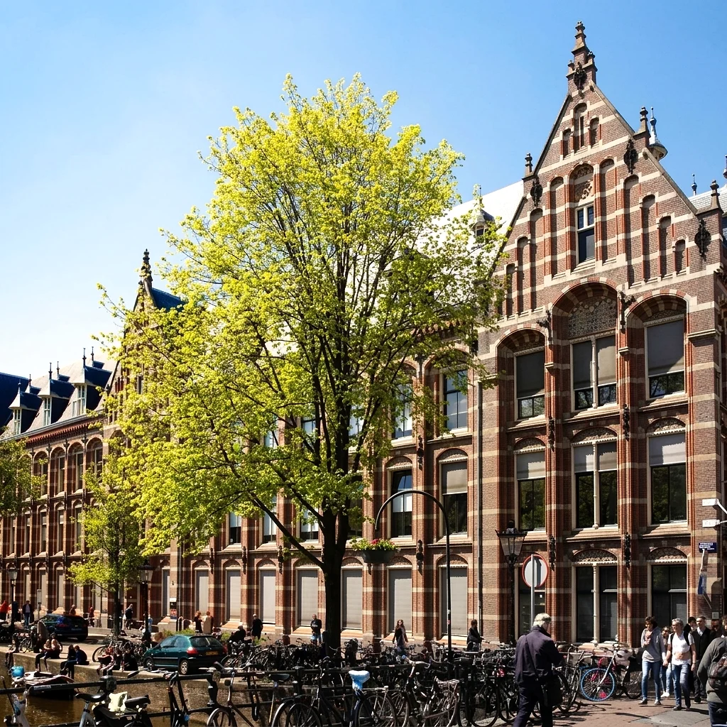 Yağız Yasin – Amsterdam Üniversitesi