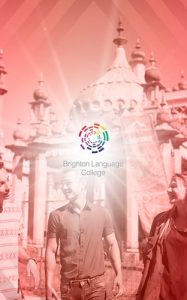 Brighton Language College Dil Okulu