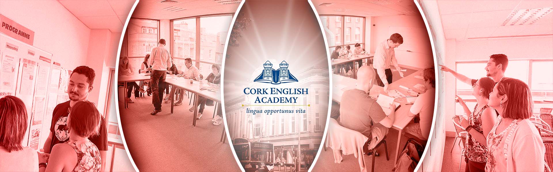 Cork English Academy Dil Okulu