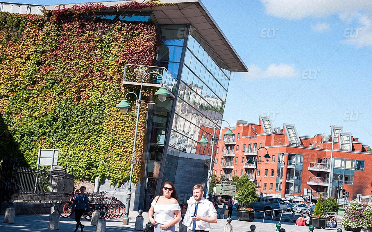 Cork English Academy Dil Okulu