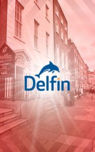 Delfin Dublin Dil Okulu