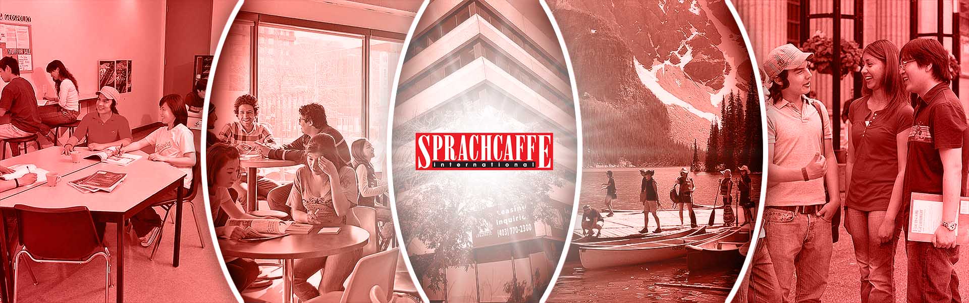 SprachCaffe Calgary Dil Okulu