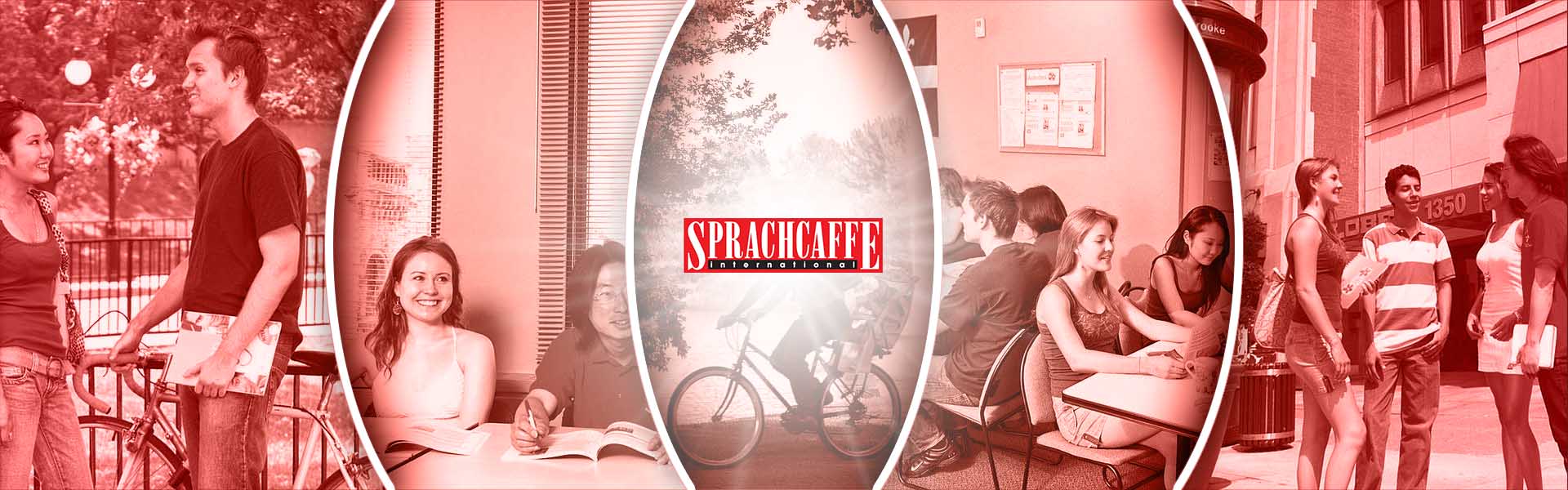 SprachCaffe Montreal Dil Okulu