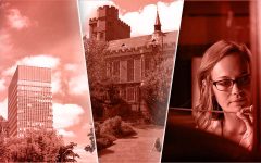 University of Sheffield