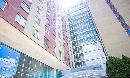 Budapest International College