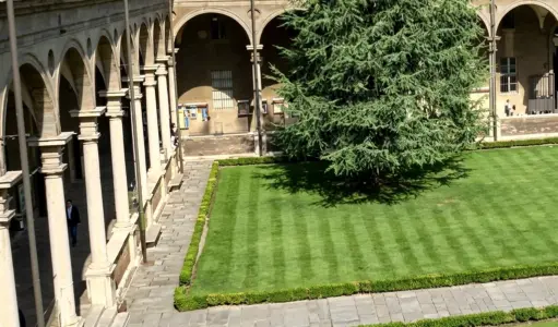 Cattolica Üniversitesi