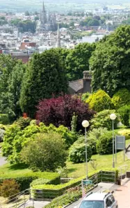 Griffith College Cork Dil Okulu