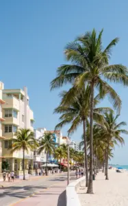Miami Dil Okulları