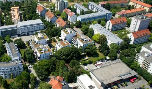 New European College