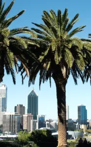 Perth Dil Okulları