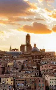Siena Dil Okulları